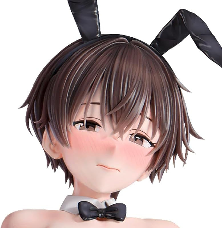 Nikkan Girl Prince Girl's Service Bunny Kanade Kazamiya 1/6 scale painted finished figure