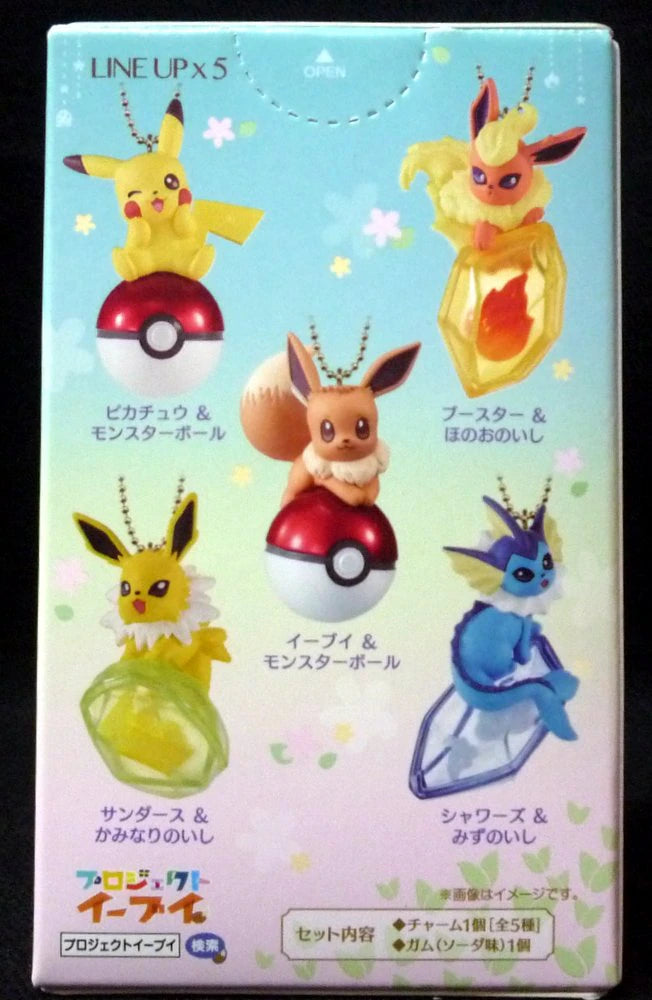 Bandai Twinkle Dolly Pokemon Sanders and stone of thunder
