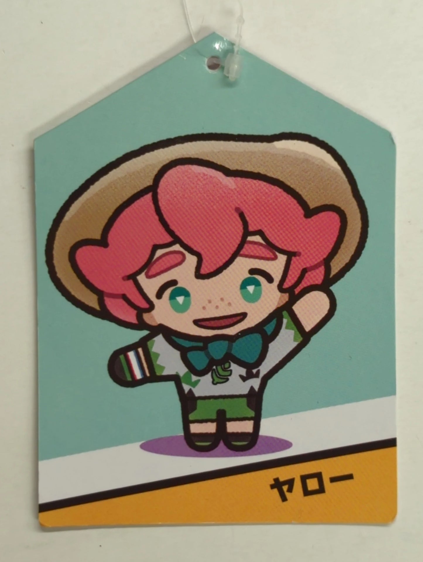 Pokemon Mascot/POKEMON TRAINERS Pocket Monsters Yarrow