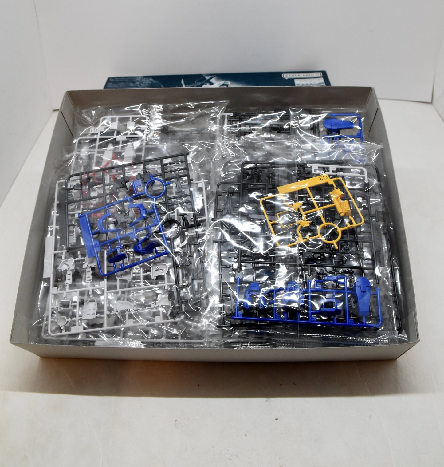 BANDAI SPIRITS MG 1/100 Mobile Suit Gundam SEED DESTINY Astray Out Frame D