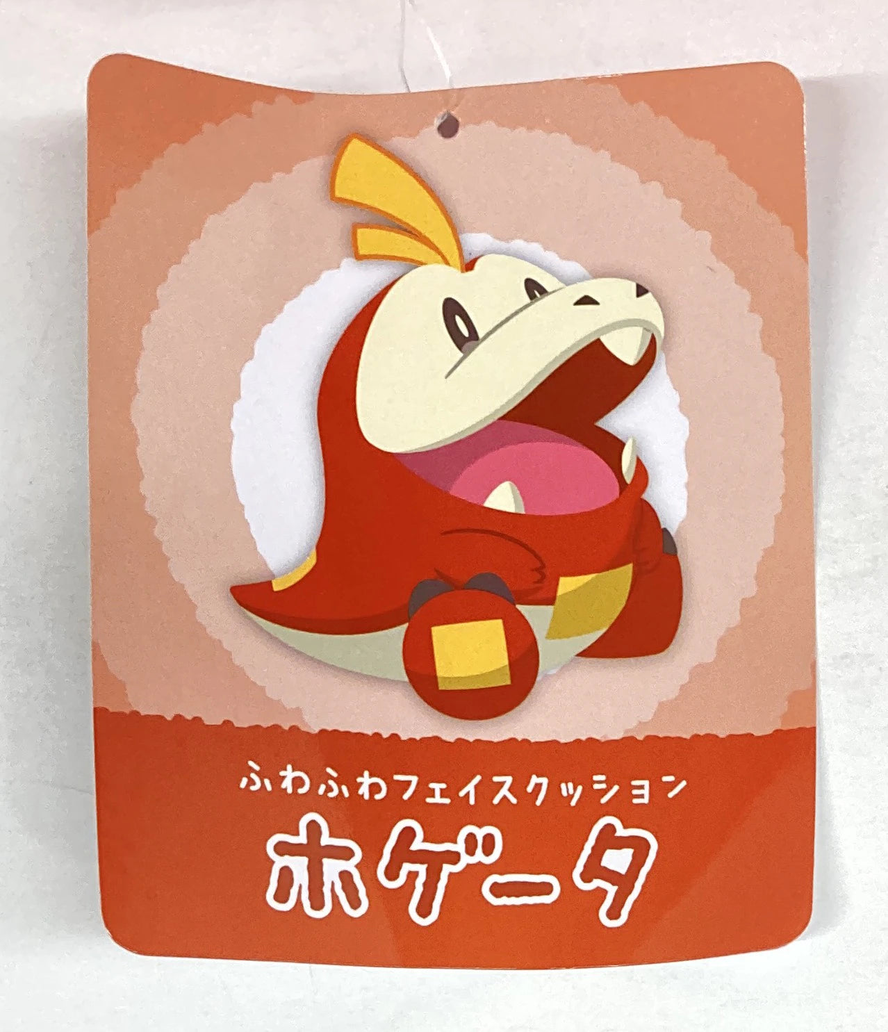 Pokemon Fluffy Face Cushion/Pikapika Box 2024 Pokemon Hogtail