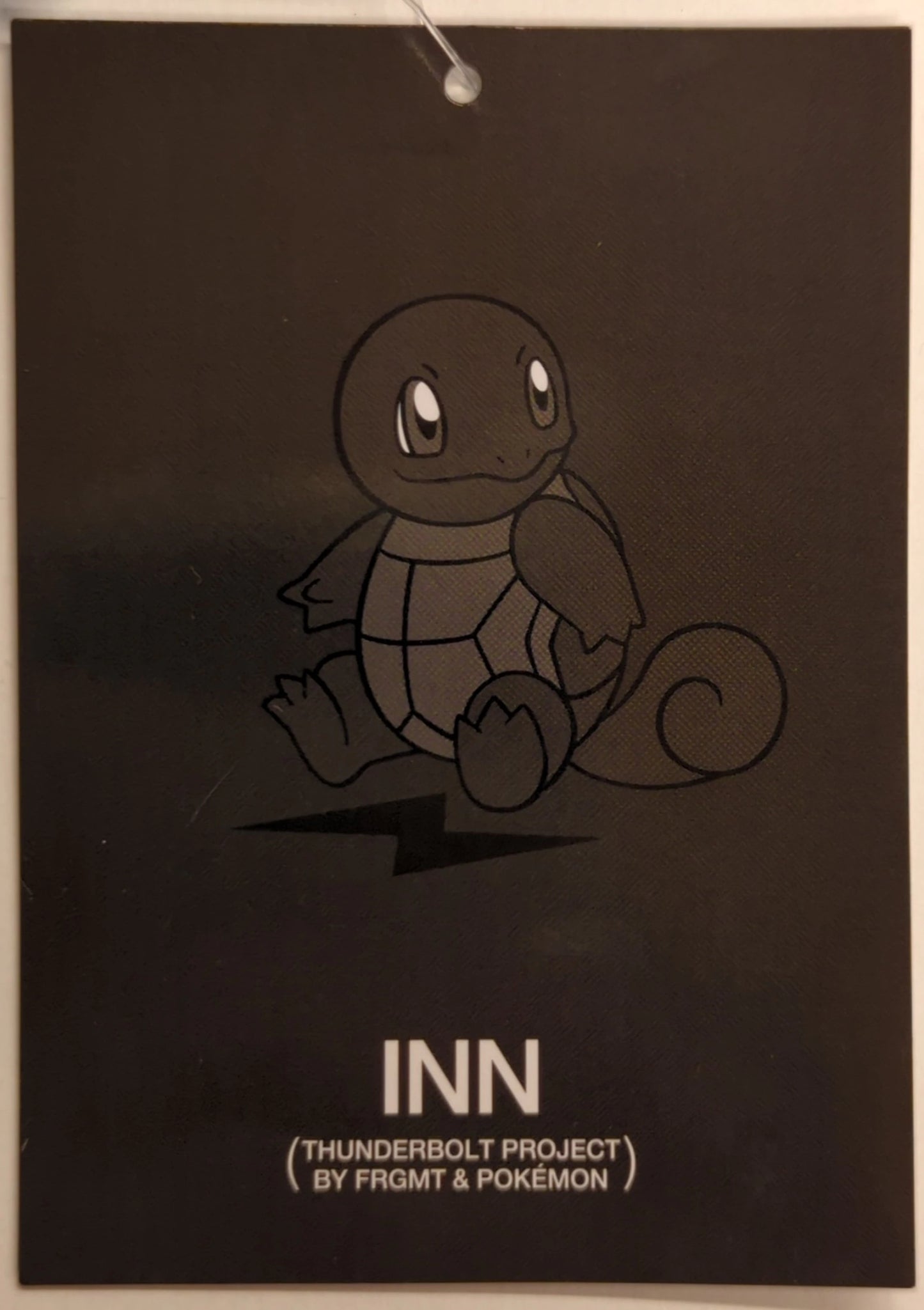 Jun Mascot THUNDERBOLT PROJECT FRGMT & POKEMON Squirtle