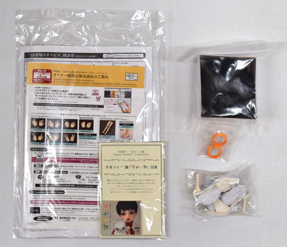 Volks - super Dollfie Graffiti Girl SDGr Junichi Nakahara Patterned Alice Dot Dress