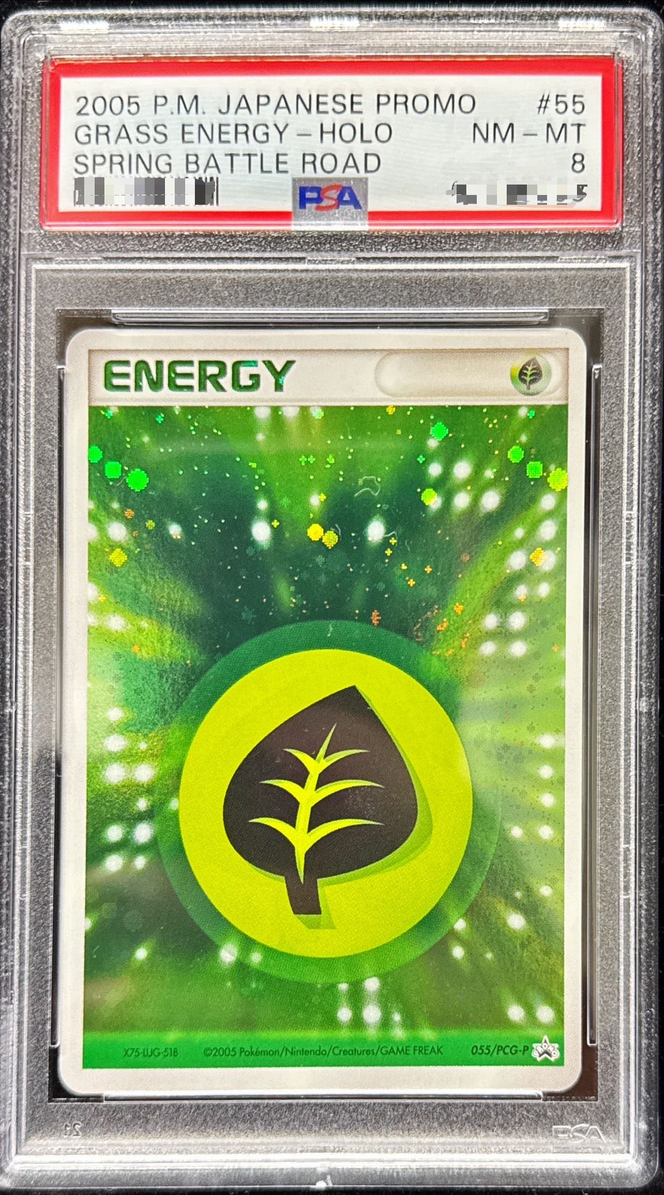 [PSA8 appraised] Basic grass energy (quick kill) [P] {055/PCG-P}