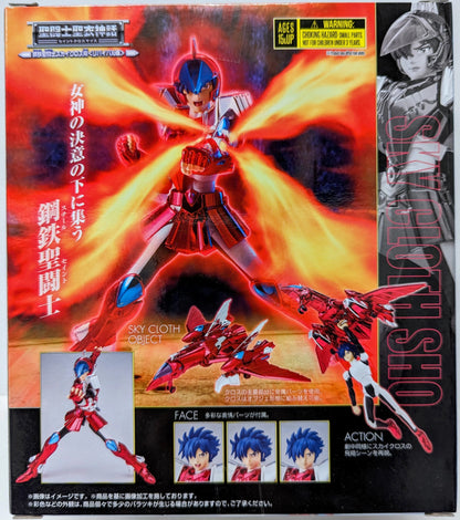 BANDAISPIRITS Saint Seiya Myth Cloth Saint Seiya Sky Cloth Sho - Revival Edition-/Steel Saint