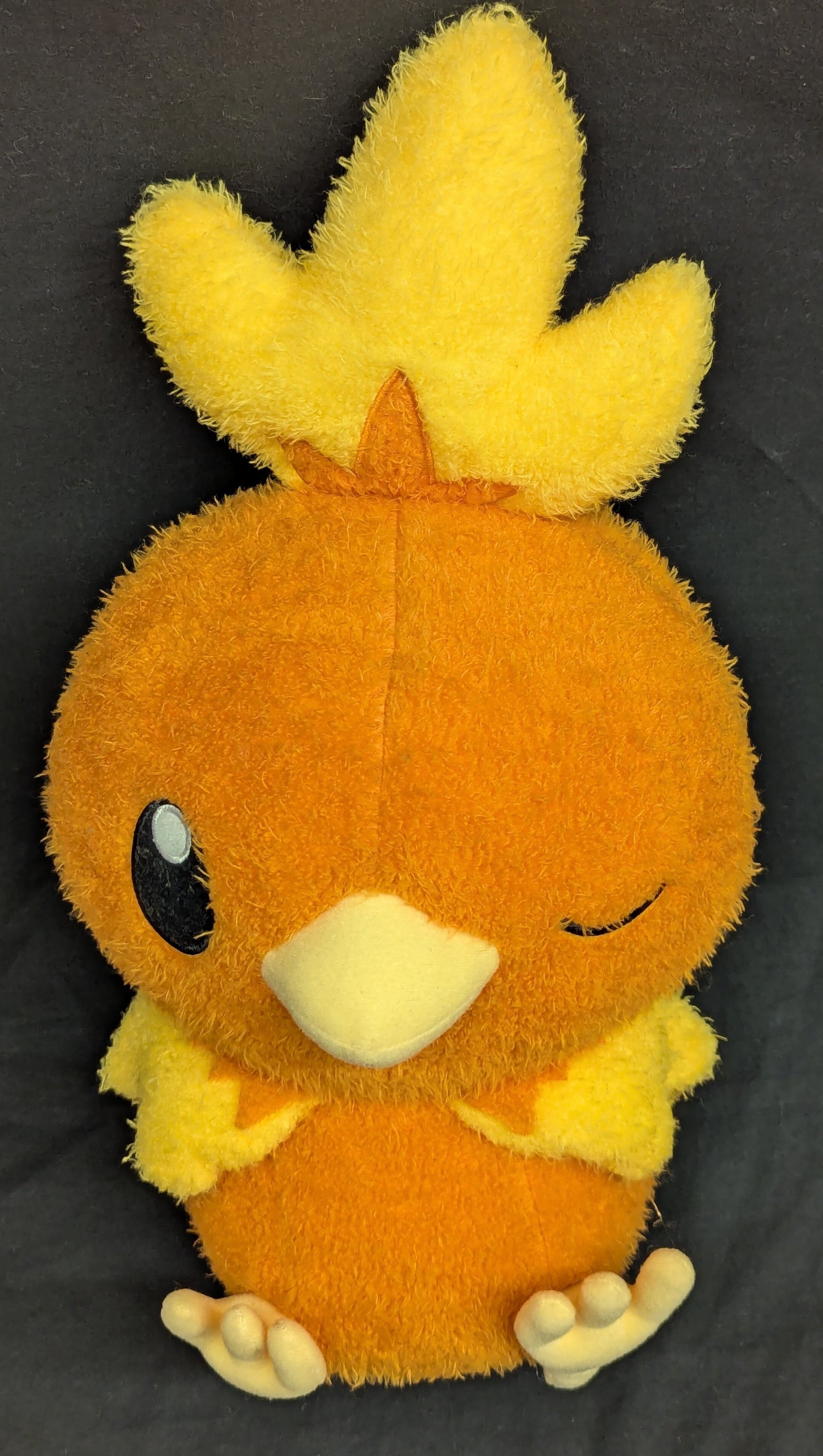 RFTERM0TOKEN Entspannungszeit/Massives Torchic-Plüschtier RFTERM1TOKEN Torchic