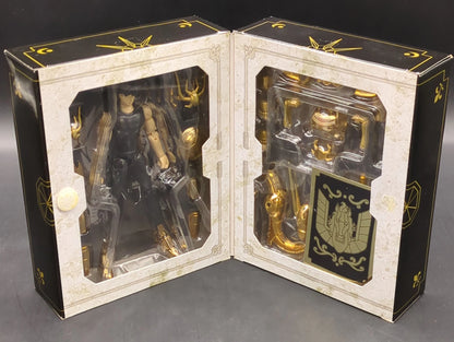 BANDAI Saint Seiya Cloth Masami Kurumada Dragon Shiryu-POWER OF GOLD- / Toei Animation Online Shop Limited