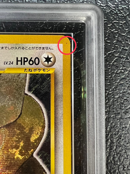 [*Difficult condition/ARS10 appraised] Hikaru Yorunozuku [-] {Old back}