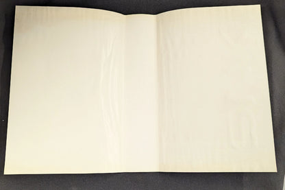 NEOGEO Fatal Fury (Garo Densetsu) 3