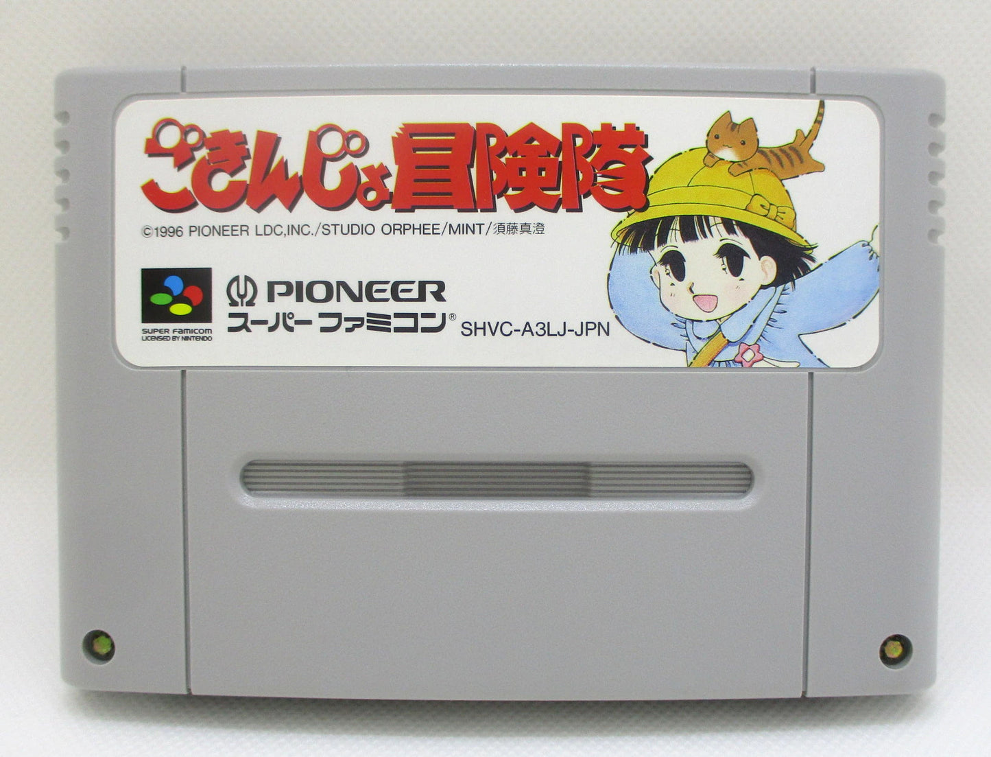 SFC Gokinjo Adventure Team