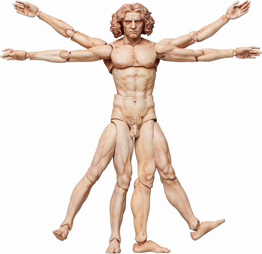 Table Museum “figma Vitruvian Man”