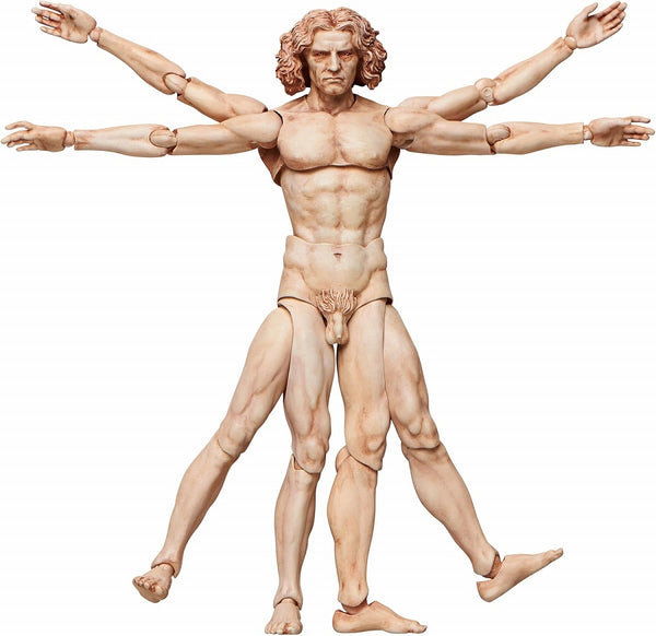 Table Museum “figma Vitruvian Man”
