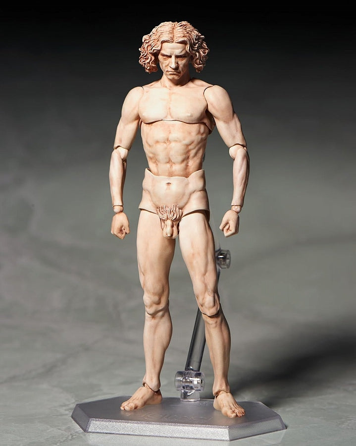Table Museum “figma Vitruvian Man”