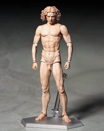 Table Museum “figma Vitruvian Man”