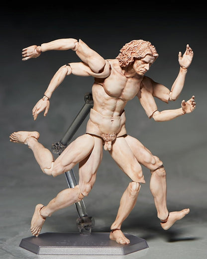 Table Museum “figma Vitruvian Man”