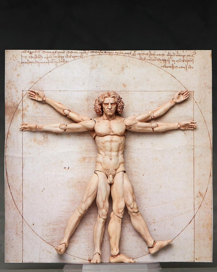 Table Museum “figma Vitruvian Man”
