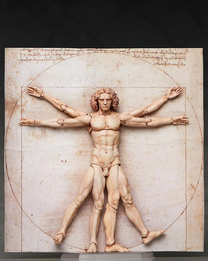 Table Museum “figma Vitruvian Man”