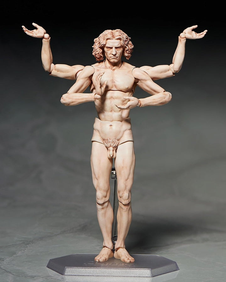 Table Museum “figma Vitruvian Man”