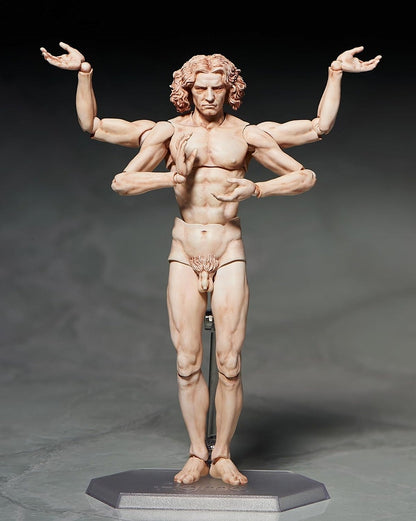 Table Museum “figma Vitruvian Man”