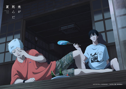 Summer when the light died A3 cloth poster B