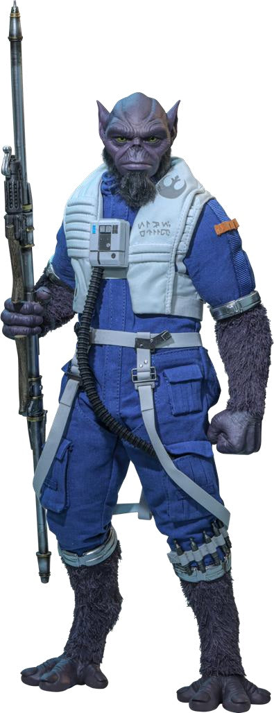 [Movie Masterpiece] "Star Wars: The Mandalorian and Groogoo" 1/6 scale figure Zeb Orrelios (1 cartone = 6 pezzi)