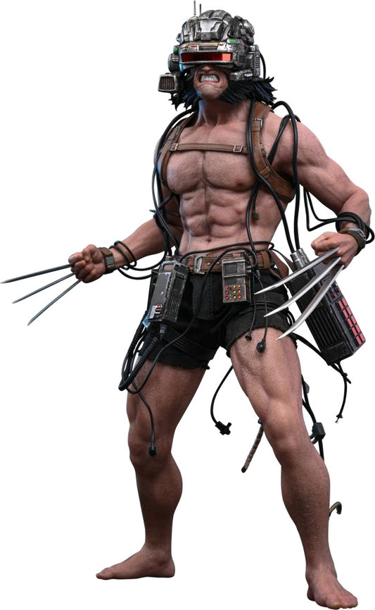 [Comic Masterpiece] "Marvel Comics" 1/6 Scale Figure Weapon X (1 cartone = 6 pezzi)