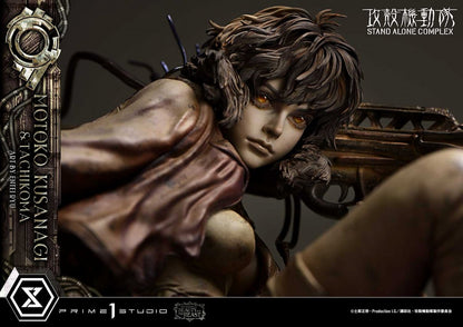 The Legend of Beauty and Beast Ghost in the Shell STAND ALONE COMPLEX Motoko Kusanagi & Tachikoma Art by Ryu Entei