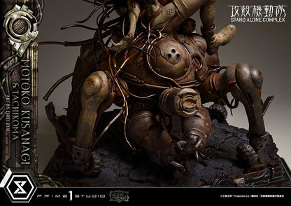 The Legend of Beauty and Beast Ghost in the Shell STAND ALONE COMPLEX Motoko Kusanagi & Tachikoma Art by Ryu Entei
