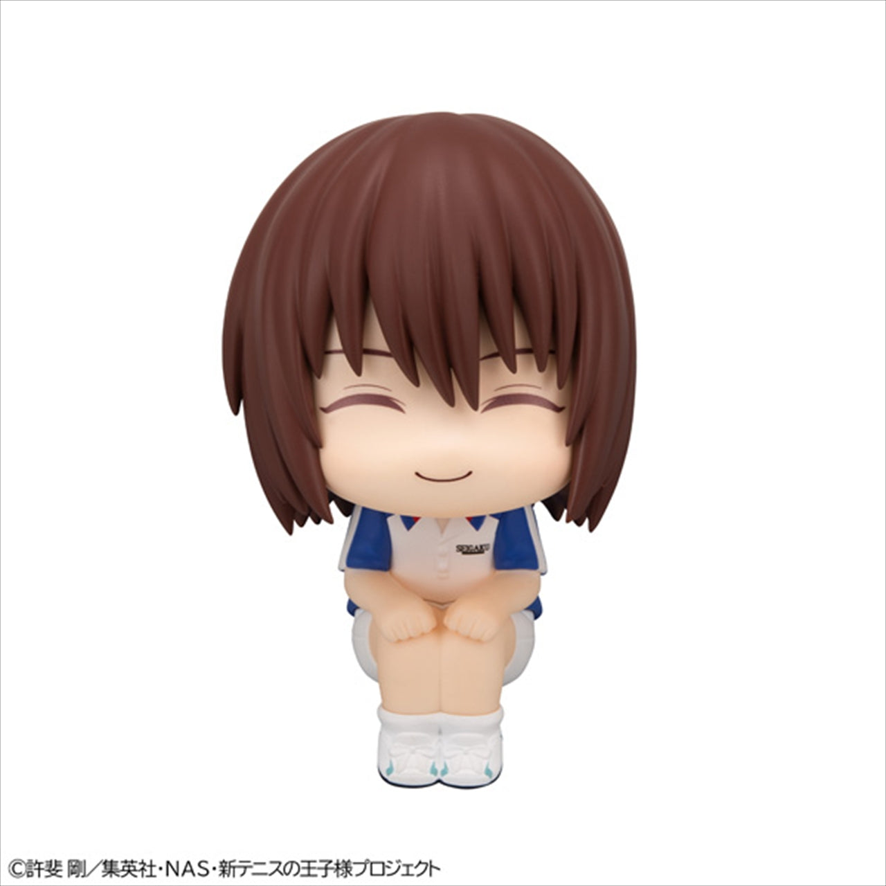 Rukup New Prince of Tennis Shusuke Fuji