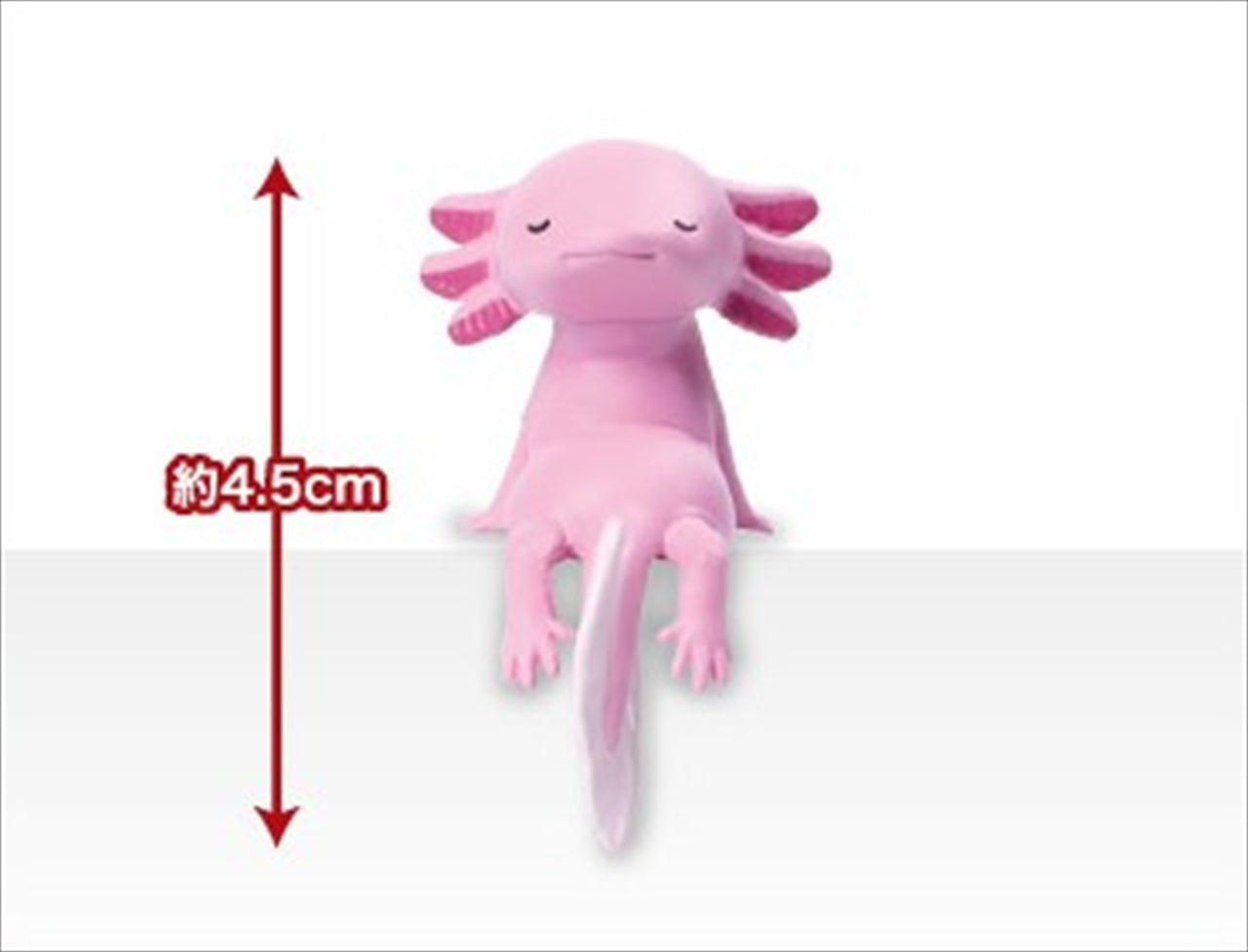 Fuchiyasumi Axolotl 1BOX Quantity: 10