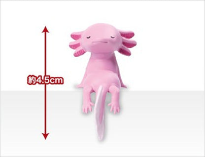 Fuchiyasumi Axolotl 1BOX Quantity: 10
