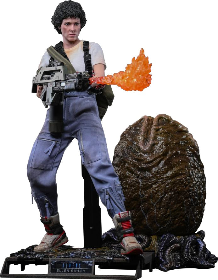 [Movie Masterpiece] "Alien 2" 1/6 scale figure Ellen Ripley (2.0/Deluxe version) (1 cartone = 3 pezzi)