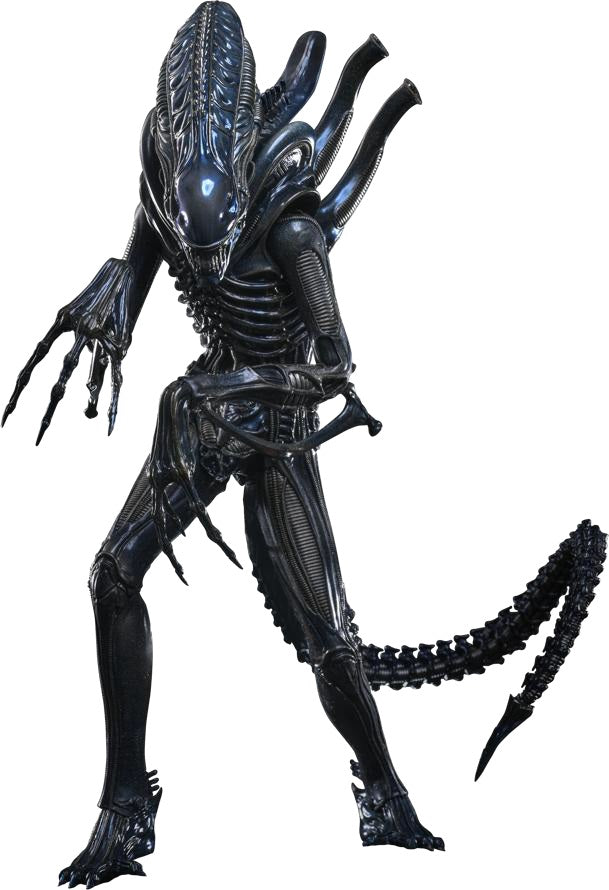 [Movie Masterpiece] "Alien 2" 1/6 scale figure Alien Warrior (2.0 version) (1 cartone = 6 pezzi)
