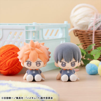 Nuippo Haikyuu! ! Quantity in 1BOX: 6