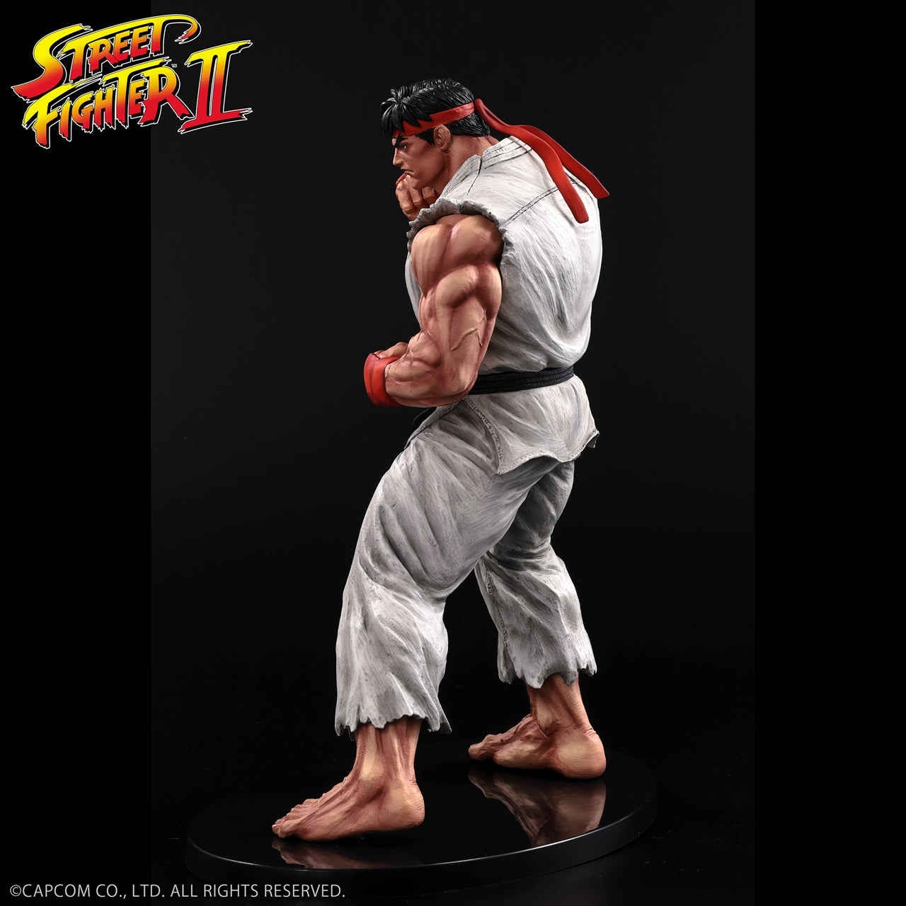 „THE KING OF COLLECTORS'24“ THE KING OF COLLECTORS'24 Nr.9 „Ryu“ (normale Farbe)