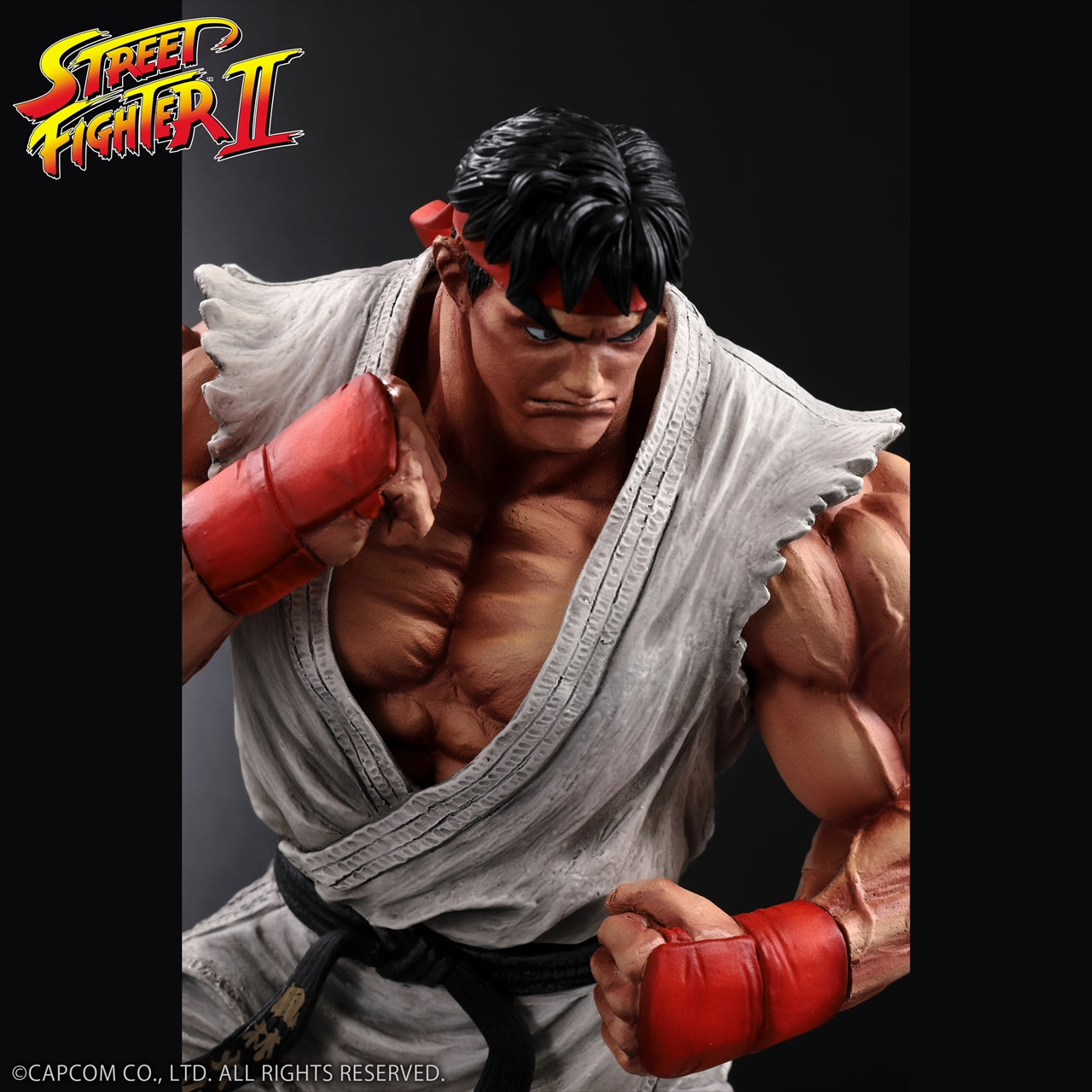„THE KING OF COLLECTORS'24“ THE KING OF COLLECTORS'24 Nr.9 „Ryu“ (normale Farbe)