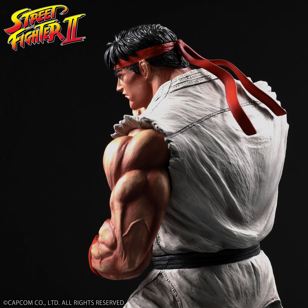 „THE KING OF COLLECTORS'24“ THE KING OF COLLECTORS'24 Nr.9 „Ryu“ (normale Farbe)