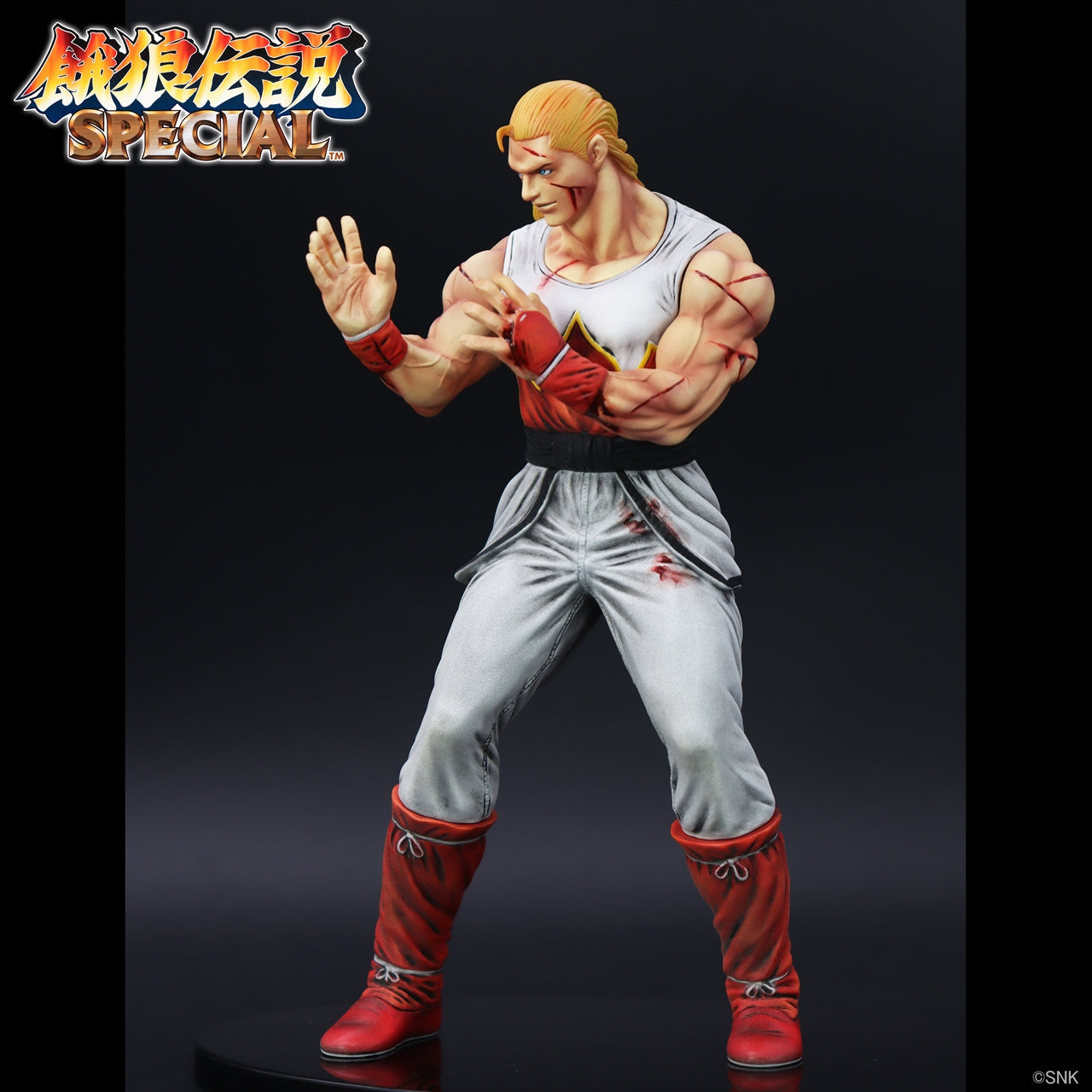 "THE KING OF COLLECTORS'24" Andy Bogard (HG Damage Ver.)