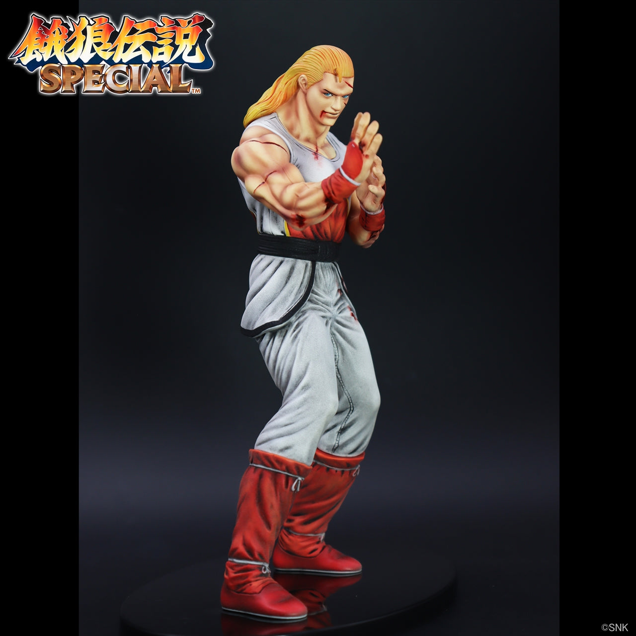 "THE KING OF COLLECTORS'24" Andy Bogard (HG Damage Ver.)
