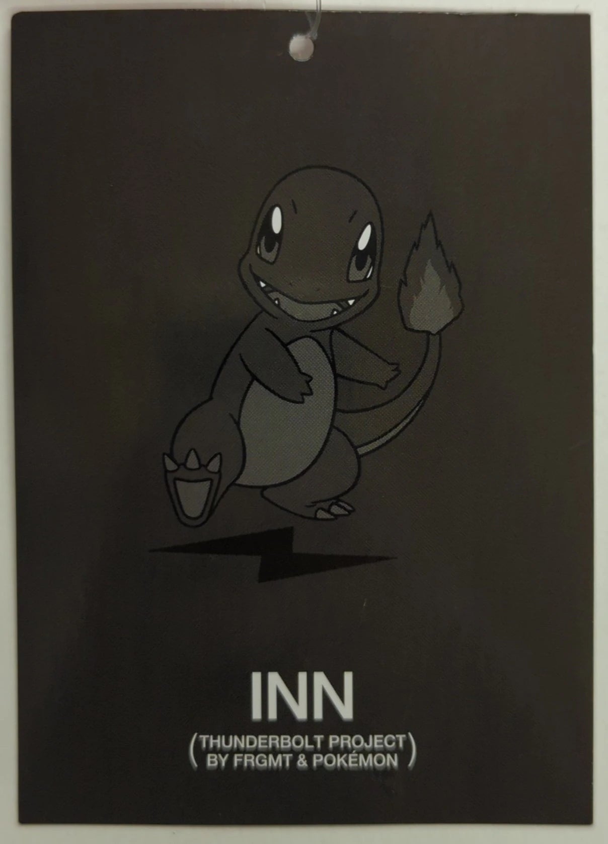Jun Mascot THUNDERBOLT PROJECT FRGMT & POKEMON Charmander