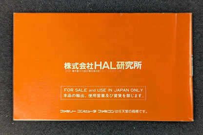 FC Adventures of Lolo II