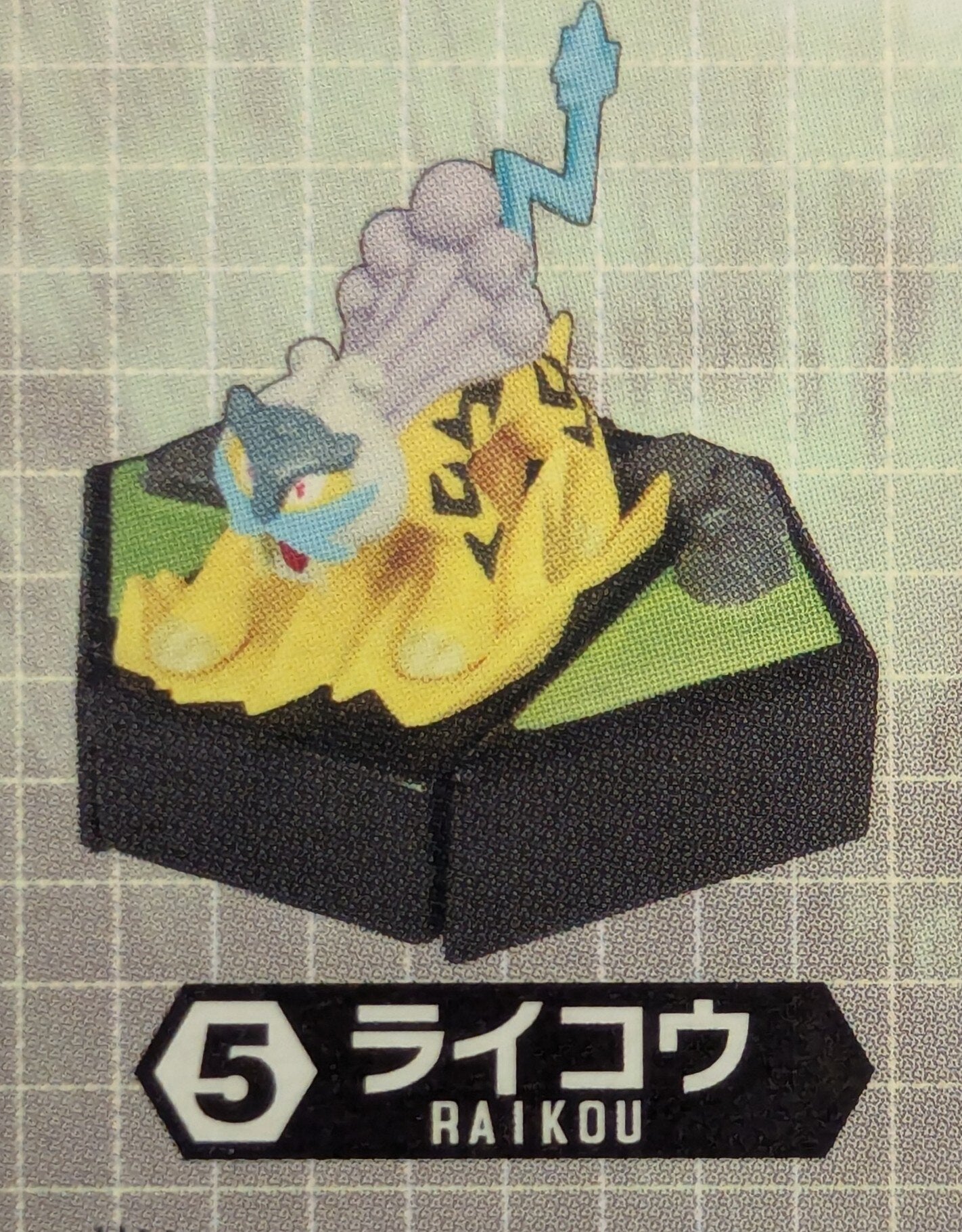 Plenus (Hotto Motto) Pokemon action Battle Shooter Phantom Champion Zoro Raikou 5