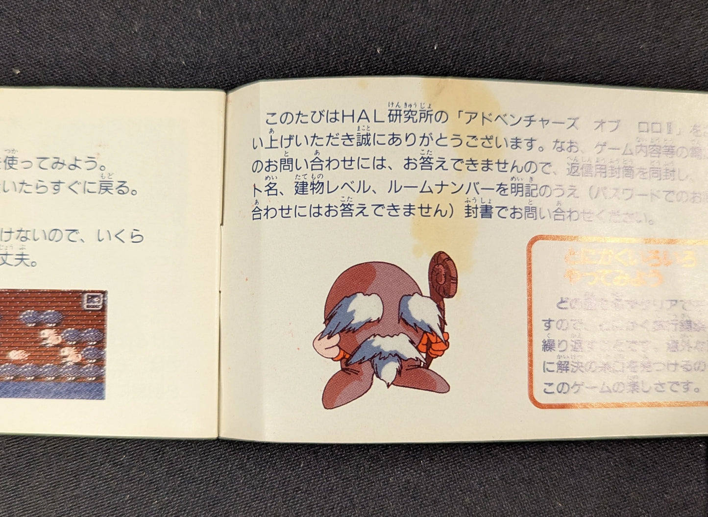 FC Adventures of Lolo II