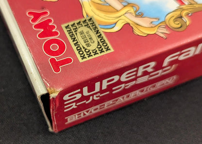 SFC Magic Knight Rayearth