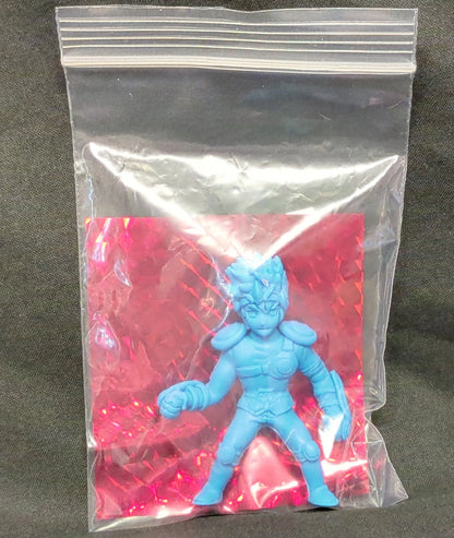 cMp cMp Fighting Keshigomu Pegasus Seiya Blue color