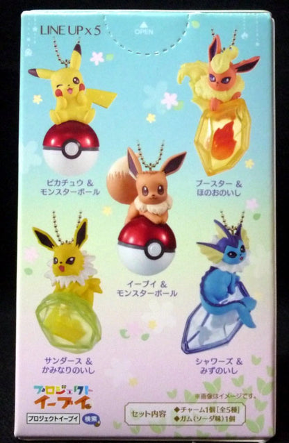 Bandai Twinkle Dolly Pokemon Sanders and stone of thunder