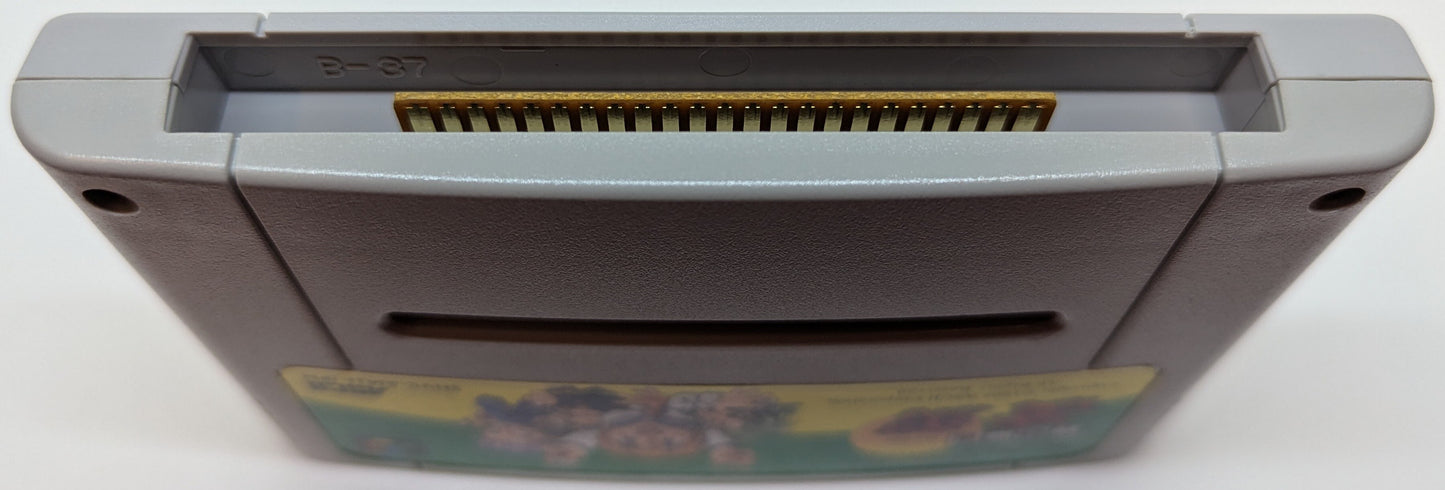 SFC tiles mahjong ryokyo