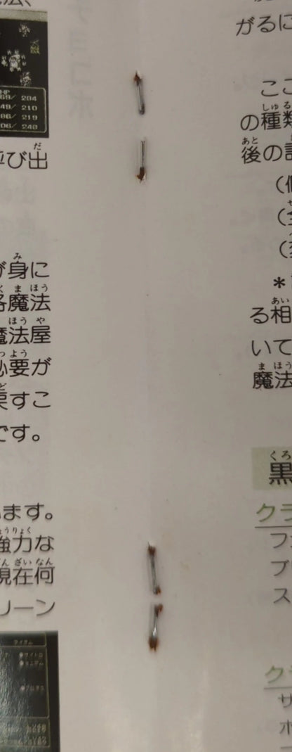 FC Final Fantasy III