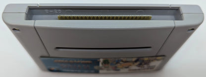 SFC The King of Dragons