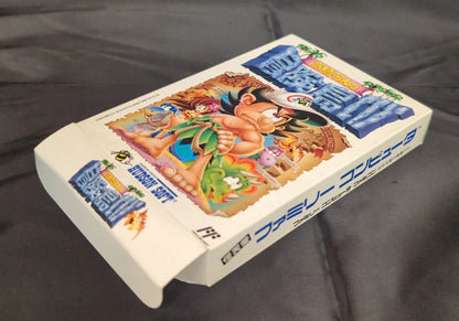 FC Takahashi Meijin's Adventure Island IV